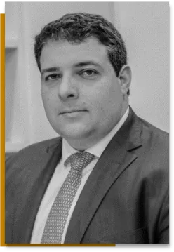 WERNER BRAUN RIZK